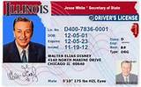 Photos of Illinois Drivers License Book