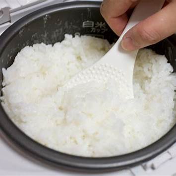 Memasak Nasi di Rice Cooker