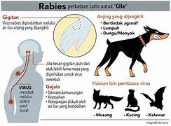 Virus Manusia dan Hewan