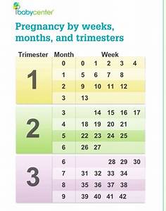 25 Bästa Pregnancy Timeline Idéerna På Pinterest
