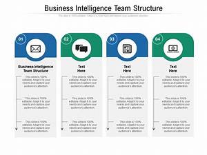 Business Intelligence Team Structure Ppt Powerpoint Presentation Show