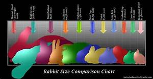 Diagrams Westy Rabbitry