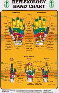 Hand Reflexology Chart Pacific Institute Therapy Supply