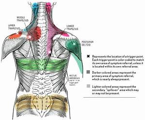 Trigger Point Chart Kwmassage