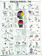 Healthquest St John Neuromuscular Anatomy And Charts