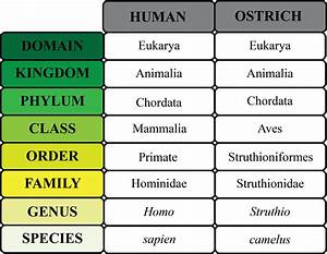 Organism Definition Characteristics Examples Video Lesson