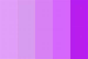 Lavender Shades Color Palette