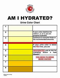 Urine Color Chart Health Guide Health Info Health And Nutrition