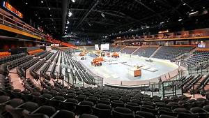 Arizona Coyotes Ticket Revenue Up 50 At Mullet Arena R Coyotes