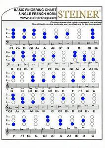Single French Horn Chart By Steiner Music Issuu