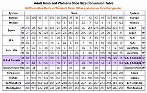 Size Conversion Converse Dog Breeds Picture