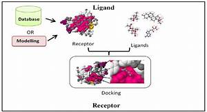 Molecular Docking Methods Ppt About Dock Photos Mtgimage Org