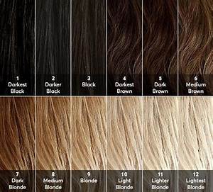 What Color Is My Hair Color Levels Guide Reed Lighter Hair
