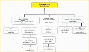 Organizational Chart Template Free Download Excel Of 40 Free