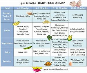 Baby Food Chart 4 To 12 Months