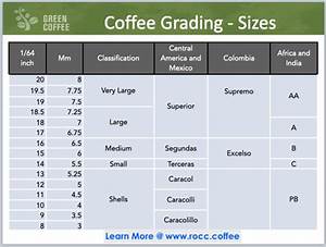 Green Coffee Grading 101