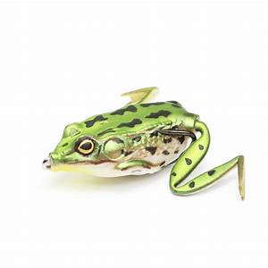 Pocket Frog Lunkerhunt