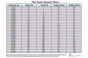 Fetal Weight Chart In Grams Percentile