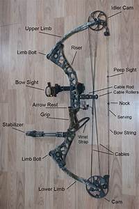 Diagram Of The Parts Of A Compound Bow Hunting Guns Archery Hunting