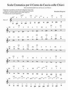 French Horn Chromatic Scale