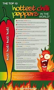 The Top 10 Chilli Peppers In The World Infographic Visualistan