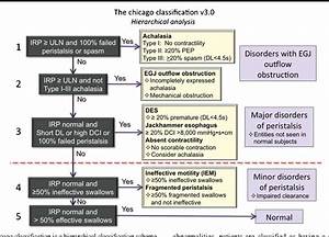 Chicago Classification Of Esophageal Motility Disorders Lessons