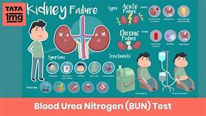 Blood Urea Nitrogen Bun Purpose Normal Range Of Results 1mg