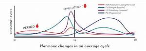 What You May Not Know About Ovulation Questions And Misconceptions