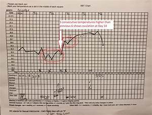 How To Use A Bbt Chart To Help You Fall Point Specifics 2022