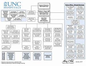 large hospital organizational chart how to create a large hospital