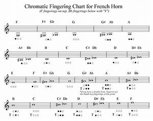 Horn Notes Welcome To The French Horn