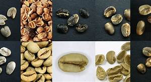 How To Spot Coffee Bean Defects And How They Change Taste Coffee Bean