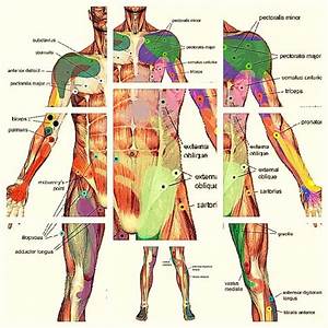 Simply Trigger Point Therapy Trigger Points 