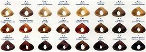 loreal hair color chart hair color chart hair color chart