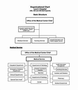 Free 9 Sample Hospital Organizational Chart Templates In Pdf Google