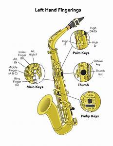 Saxophone Chart Beginning Saxophone
