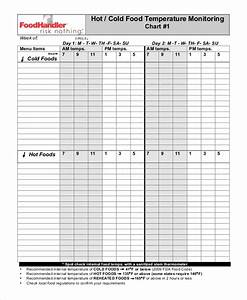 Daily Chart 9 Examples Format How To Make Pdf