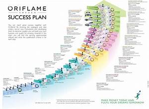 How To Earn With Oriflame Working From Home My Review Hall