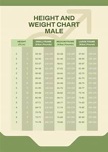 Height Weight Bmi Chart In Photoshop Illustrator Portable