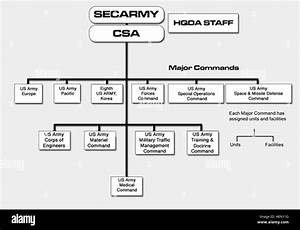 Army G8 Org Chart Army Military