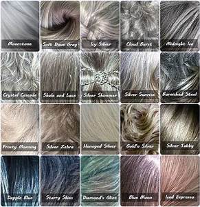 Gray Color Chart Hair Color Chart Silver Hair Color Grey Hair