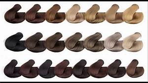 Ash Hair Color Chart Warehouse Of Ideas