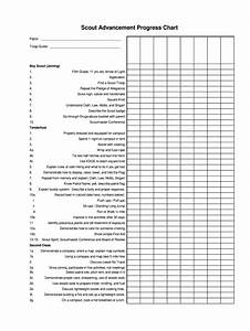 Boy Scout Advancement Chart Fill Online Printable Fillable Blank