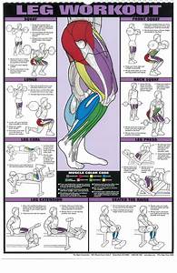 The Absolute Beginner 39 S Guide To Exercise Workout Posters Leg