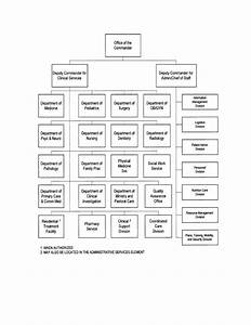 Figure 1 4 Typical Hospital Organization Chart Medical Records Division