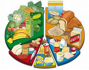 Balanced Diet Chart Cliparts Co
