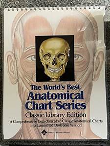 Anatomical Chart Series Classic Library By Bachin Peter Abebooks