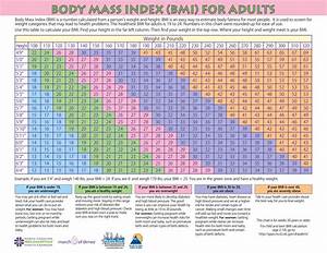 36 Free Bmi Chart Templates For Women Men Or Kids ᐅ Template Lab