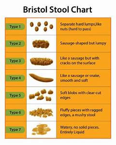 Taikyti Du Laipsniai Vartotojas Bristol Stool Chart Type 6 Prabangus