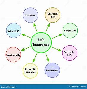 types of life insurance stock image image of concept 154866909